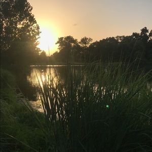 Meet your Posher, Marissa